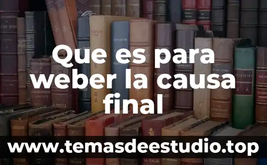 Que es para weber la causa final