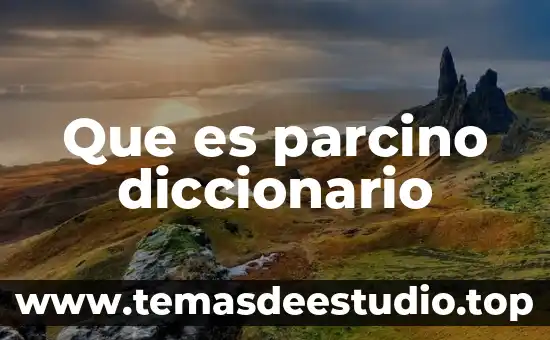 Qué es un triángulo equilátero diccionario 8 Que es parcino diccionario