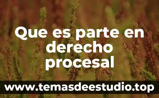 Que es parte en derecho procesal