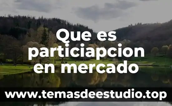 Qué es el mercado mexicano de valores 7 Que es particiapcion en mercado