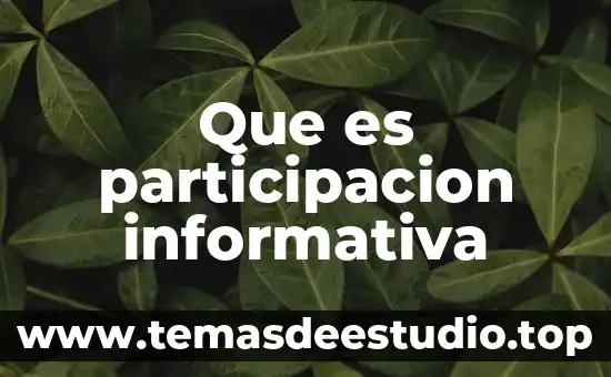 Que es la arquitectura como manifestacion artistica 6 Que es participacion informativa