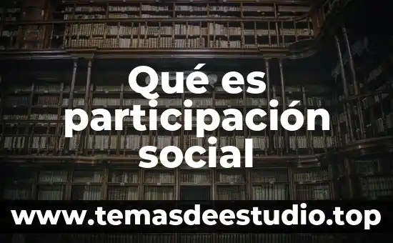 Que es vivienda social arquitectura 3 Qué es participación social