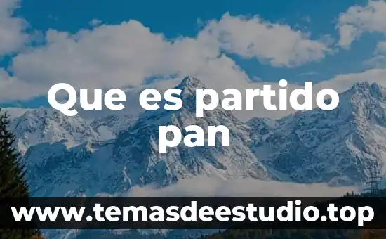 Qué es una ideología de un partido político 8 Que es partido pan