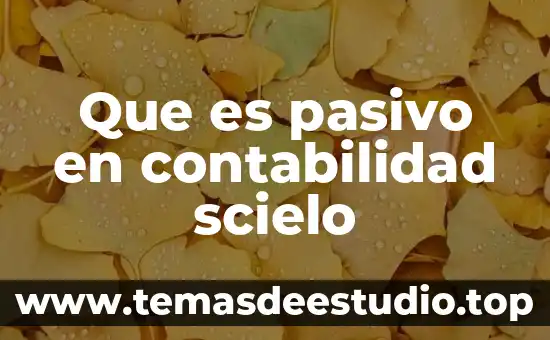 Que es pasivo en contabilidad scielo