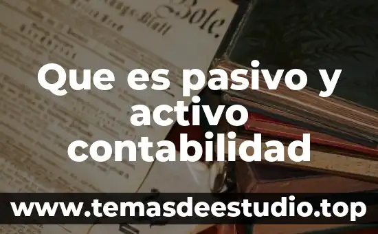 Que es pasivo y activo contabilidad