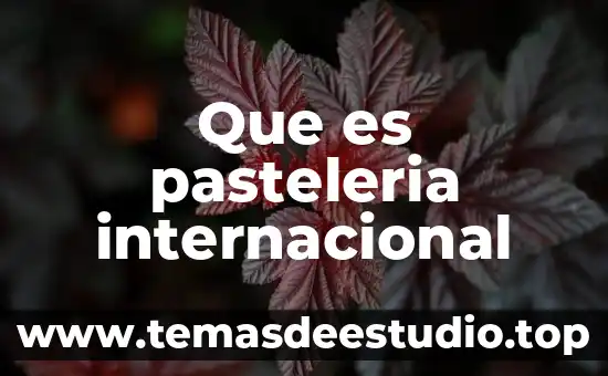 Que es un tecnico en pasteleria 5 Que es pasteleria internacional