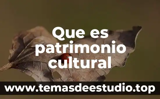 Que es patrimonio cultural