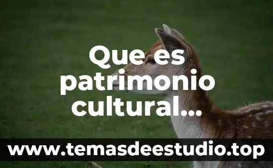 Que es patrimonio cultural regional de mexico en gastronomía
