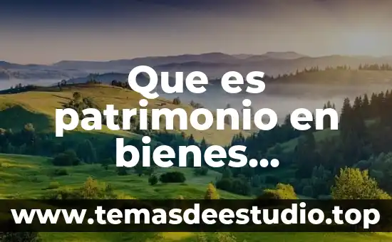 Bloques economicos de otan que es 6 Que es patrimonio en bienes economicos