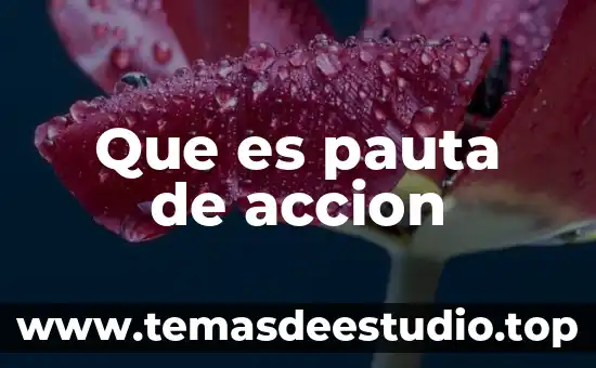 Qué es pauta en filosofía 3 Que es pauta de accion