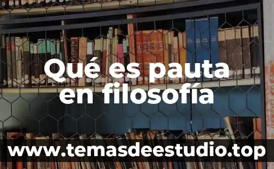 Que es pauta de accion 5 Qué es pauta en filosofía