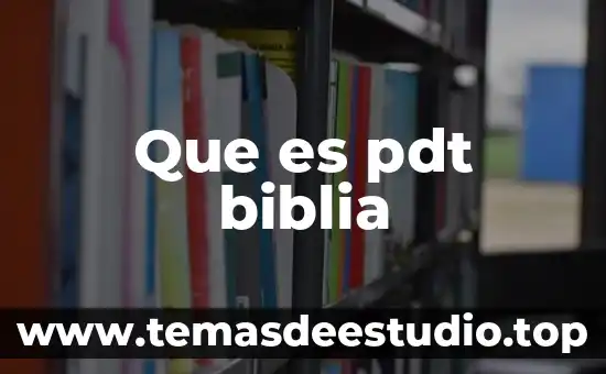 Que es pdt biblia
