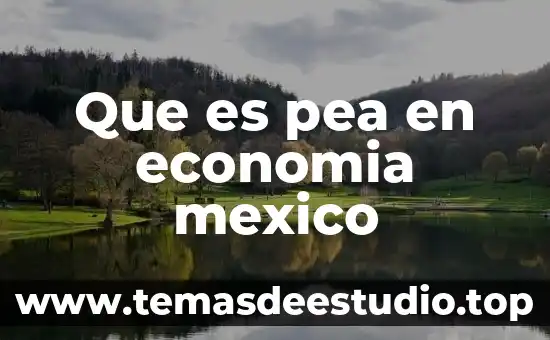 Que es justicia segun mexico 4 Que es pea en economia mexico
