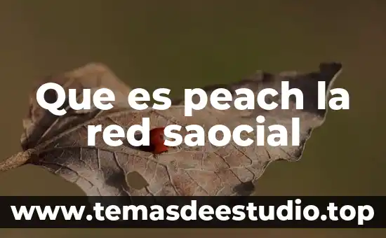 Que es un un portal en la red 8 Que es peach la red saocial