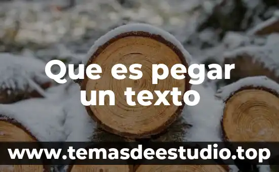 Que es pegar un texto
