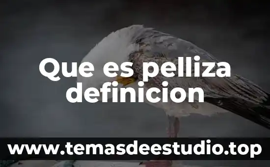 Definicion significado que es estremecer 3 Que es pelliza definicion