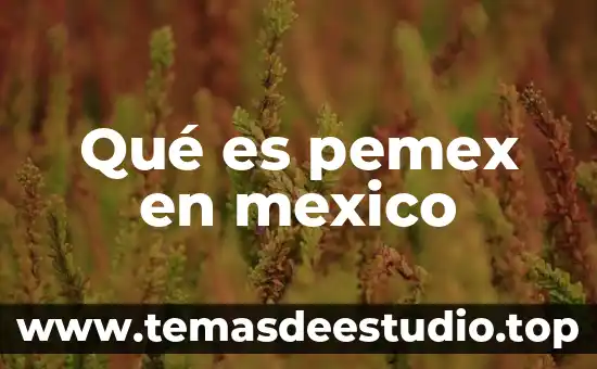 Qué es pemex en mexico