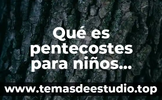 Que es educacion concepto para niños 6 Qué es pentecostes para niños católicos