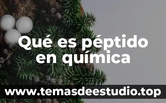 Qué es átomo en química definición 8 Qué es péptido en química
