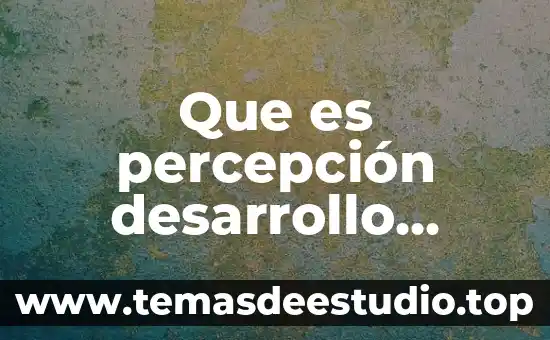 Que es percepción desarrollo humano