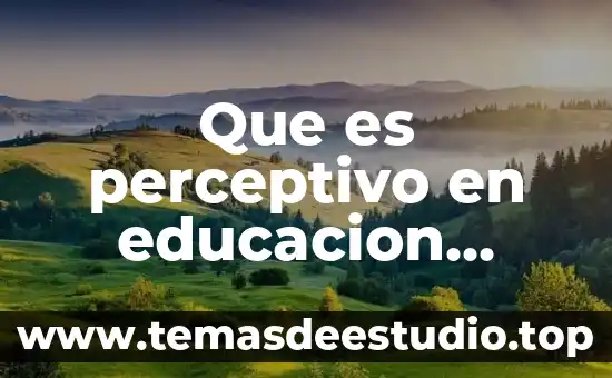 Que es la libertad del derecho a la educacion 8 Que es perceptivo en educacion primaria