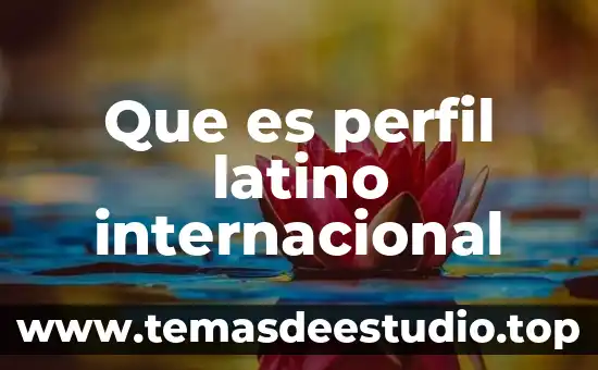 Que es un perfil de usuario arquitectura 3 Que es perfil latino internacional