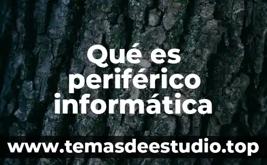 Qué es periférico informática