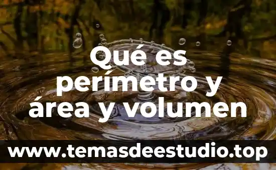 Qué es perímetro y área y volumen