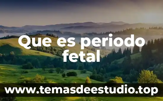 Que es la lirica renacentista periodo 7 Que es periodo fetal