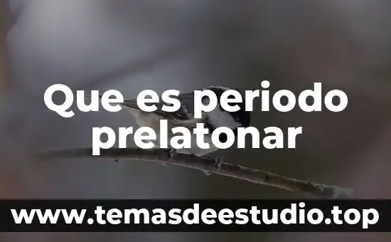 Que es la lirica renacentista periodo 4 Que es periodo prelatonar