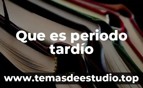 Que es la lirica renacentista periodo 8 Que es periodo tardío