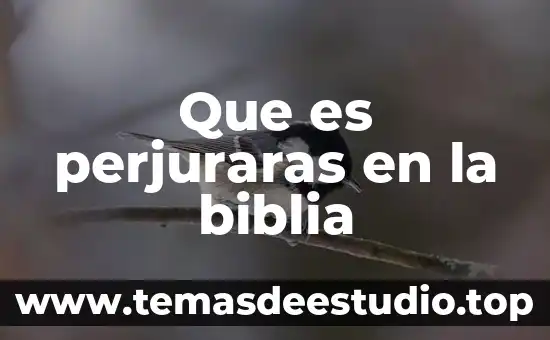Que es perjuraras en la biblia