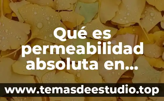 Qué es permeabilidad absoluta en física