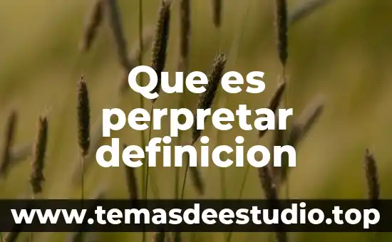 Que es perpretar definicion