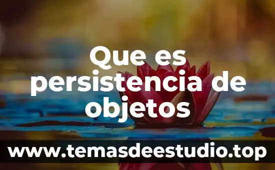 Aplicando una fuerza a los objetos que es 3 Que es persistencia de objetos
