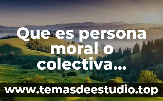 Que es una persona noble en metáfora 4 Que es persona moral o colectiva derecho
