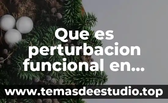 Qué es una forma funcional en econometría 7 Que es perturbacion funcional en salud ocupacional