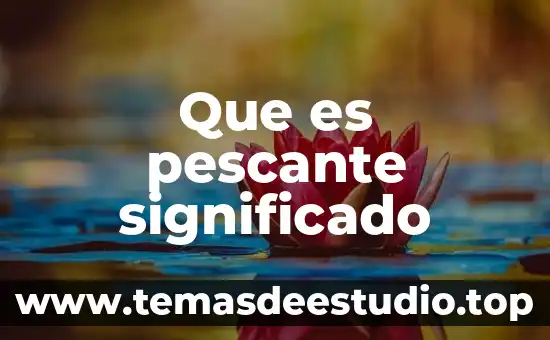 Que es la fe significado 4 Que es pescante significado