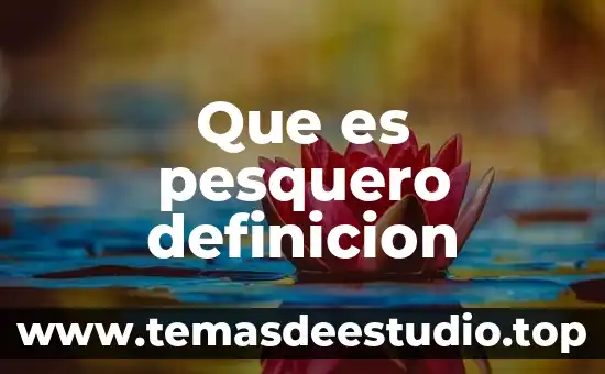 Qué es un huerto escolar definición 3 Que es pesquero definicion