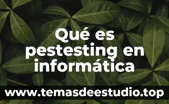 Que es ser intuitico 6 Qué es pestesting en informática