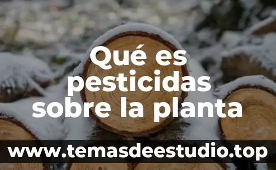 Planta de menta que es 6 Qué es pesticidas sobre la planta