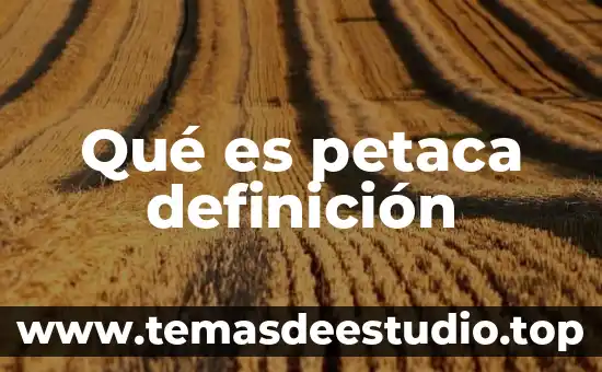 Qué es petaca definición