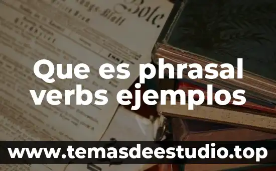 Que es el estoma y sus ejemplos 6 Que es phrasal verbs ejemplos