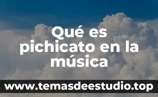 Qué es pichicato en la música