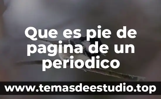 Piel dura de la planta del pie que es 8 Que es pie de pagina de un periodico