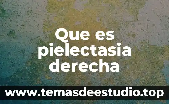 Que es topografia anexial derecha 3 Que es pielectasia derecha