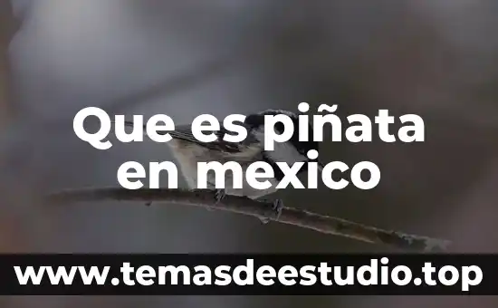 Que es piñata en mexico