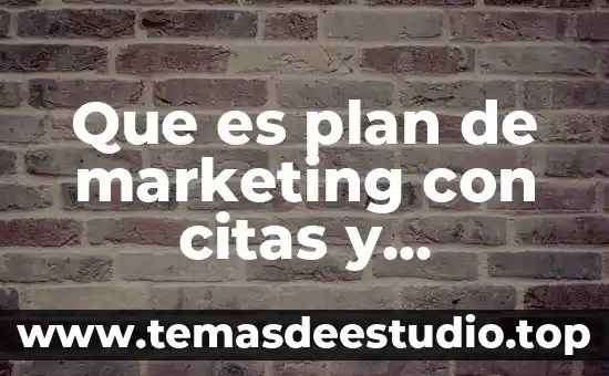 Que es plan de marketing con citas y referencias