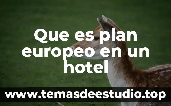 Que es desayuno tipo plan europeo 5 Que es plan europeo en un hotel