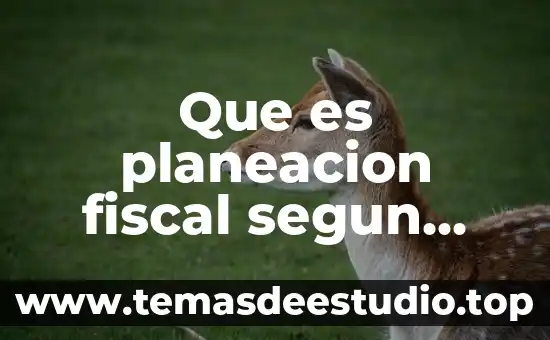 Que es preactivista según ackoff 6 Que es planeacion fiscal segun autores